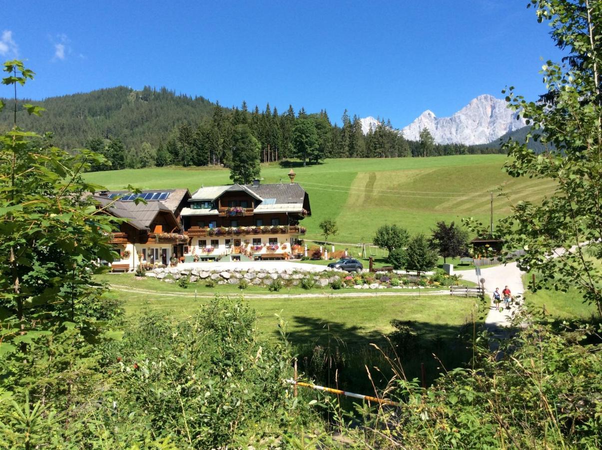 Pension-Greimelbacherhof Ramsau am Dachstein Luaran gambar