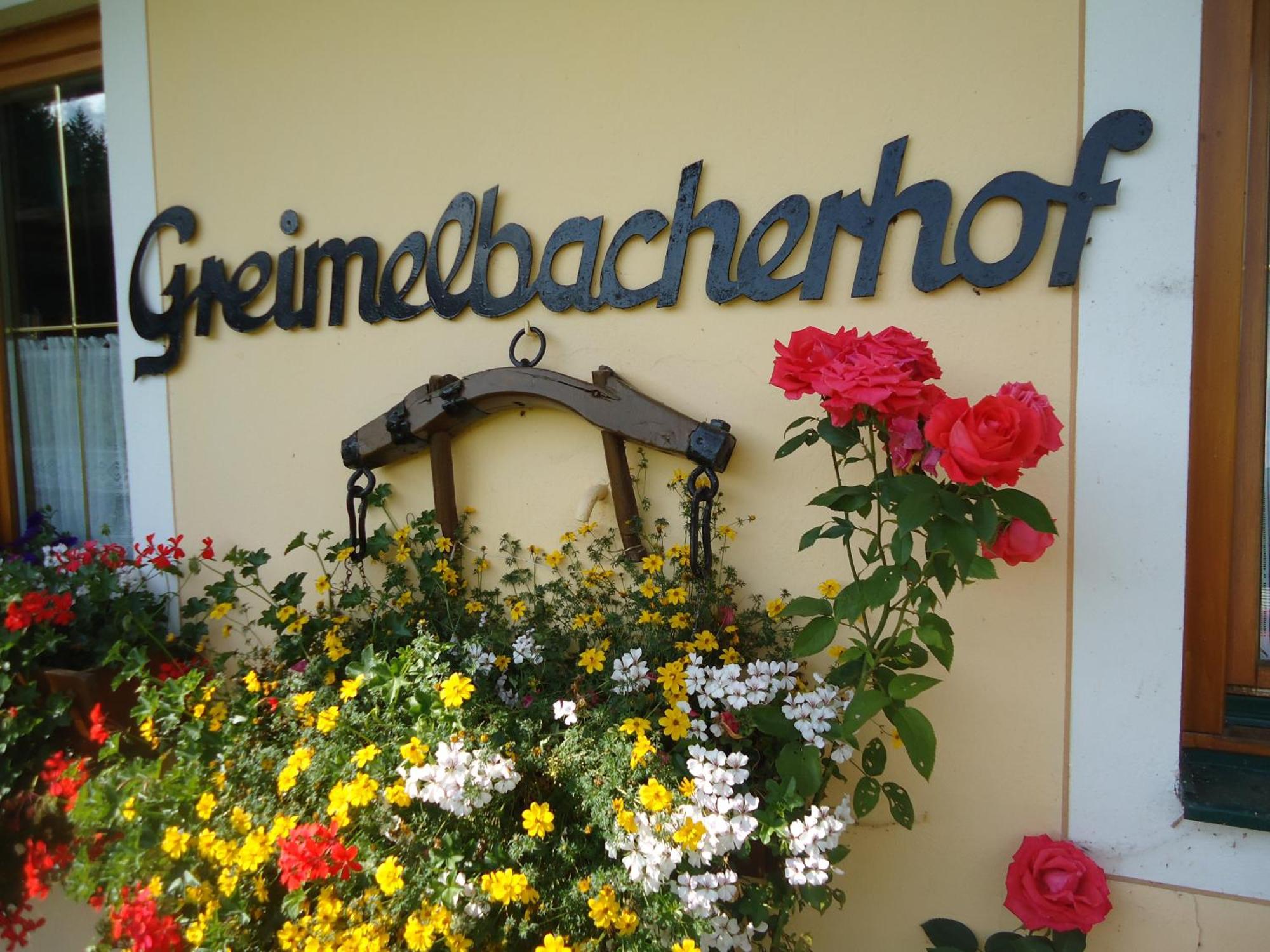 Pension-Greimelbacherhof Ramsau am Dachstein Luaran gambar