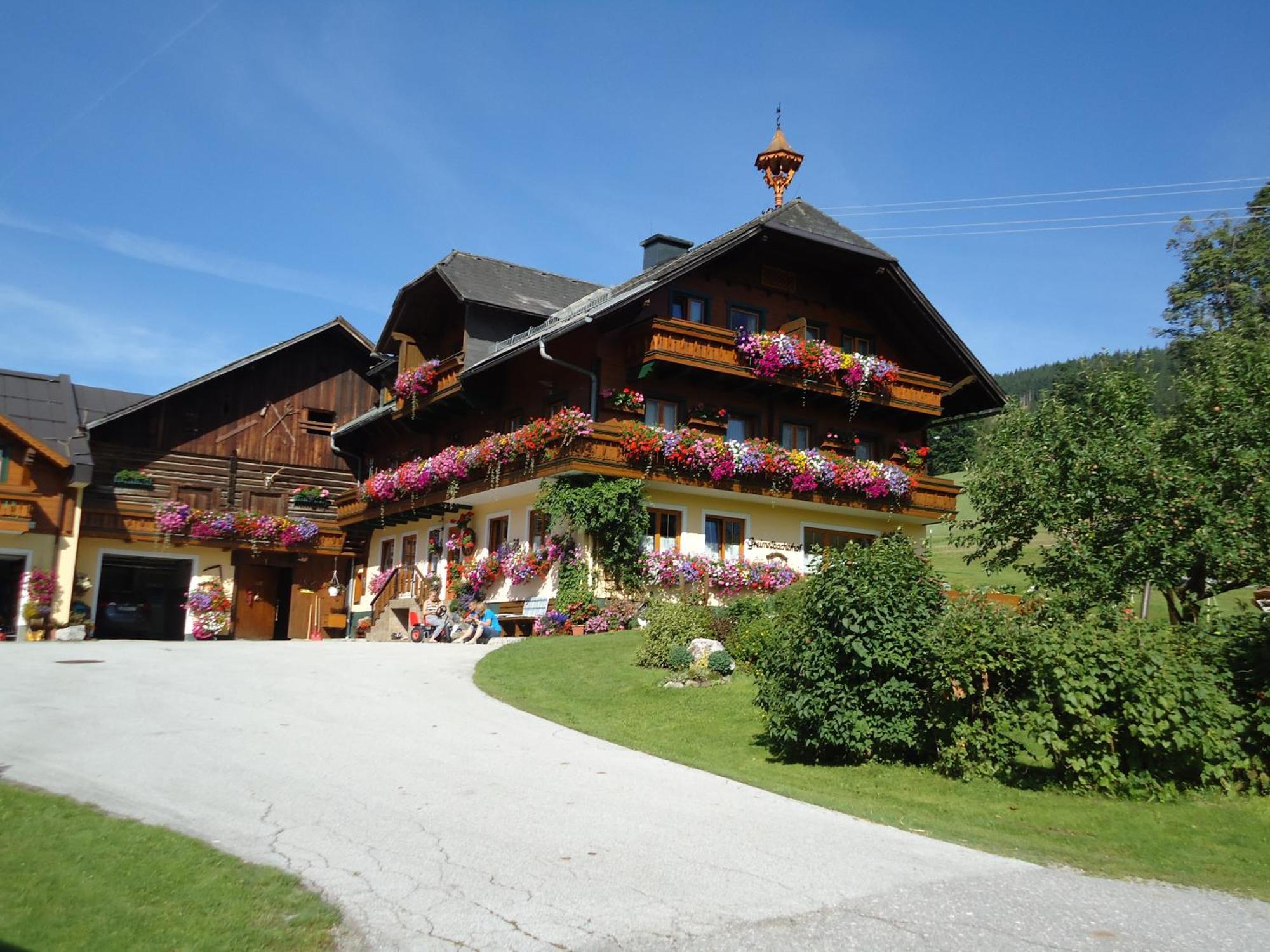 Pension-Greimelbacherhof Ramsau am Dachstein Luaran gambar