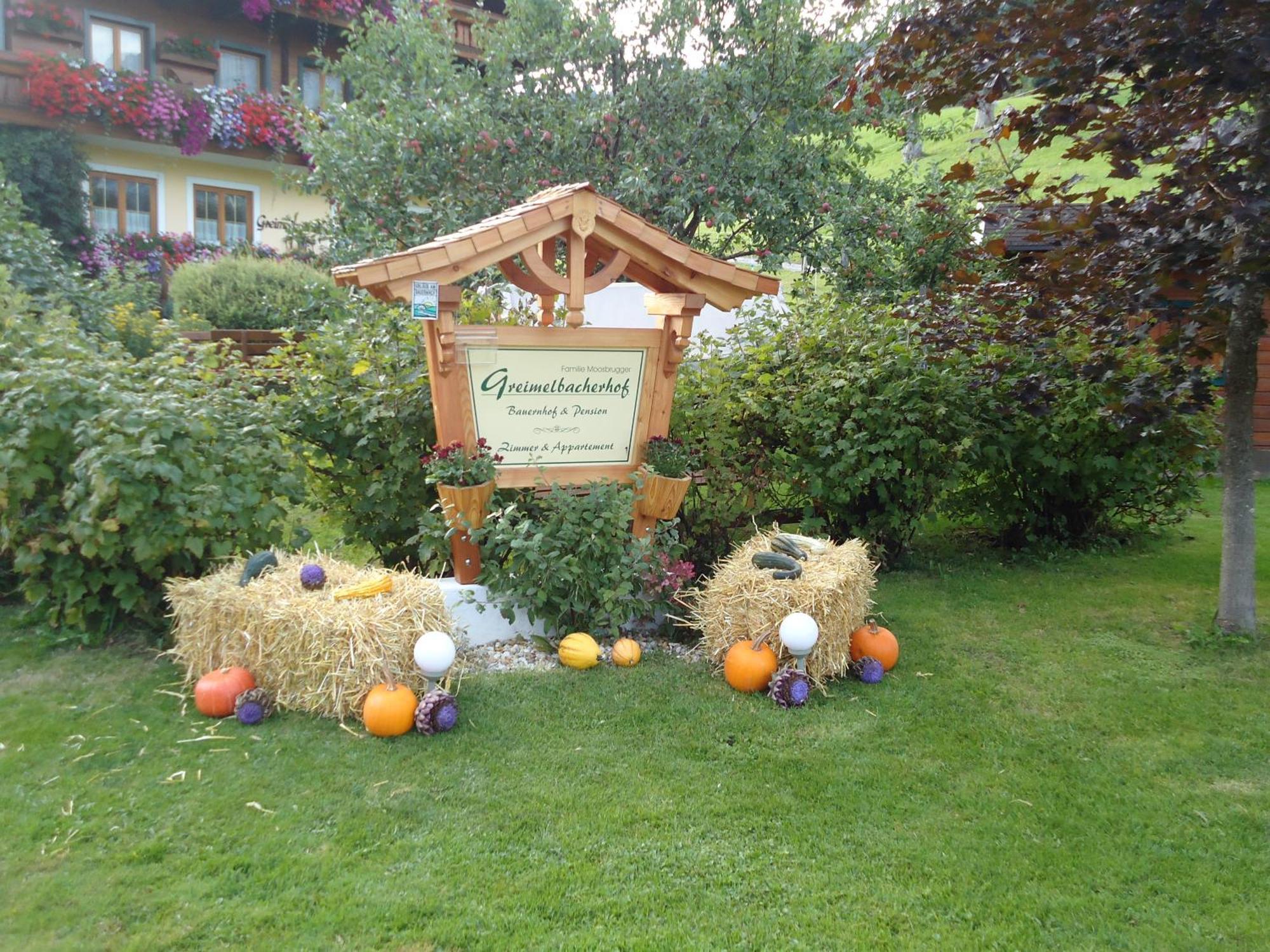 Pension-Greimelbacherhof Ramsau am Dachstein Luaran gambar