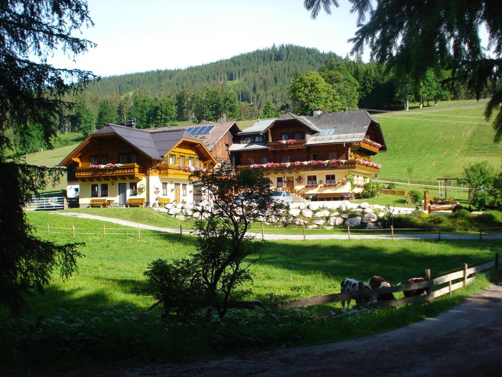 Pension-Greimelbacherhof Ramsau am Dachstein Luaran gambar