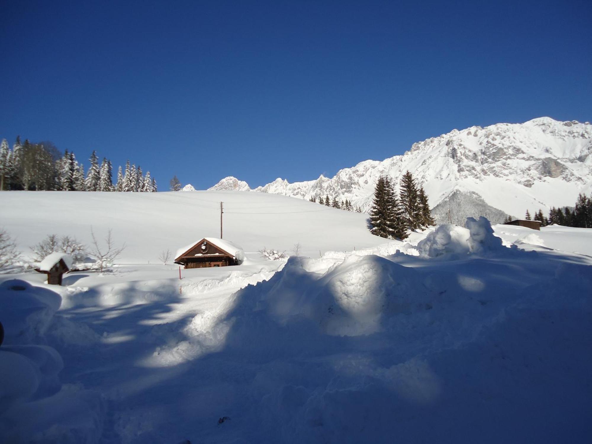 Pension-Greimelbacherhof Ramsau am Dachstein Bilik gambar
