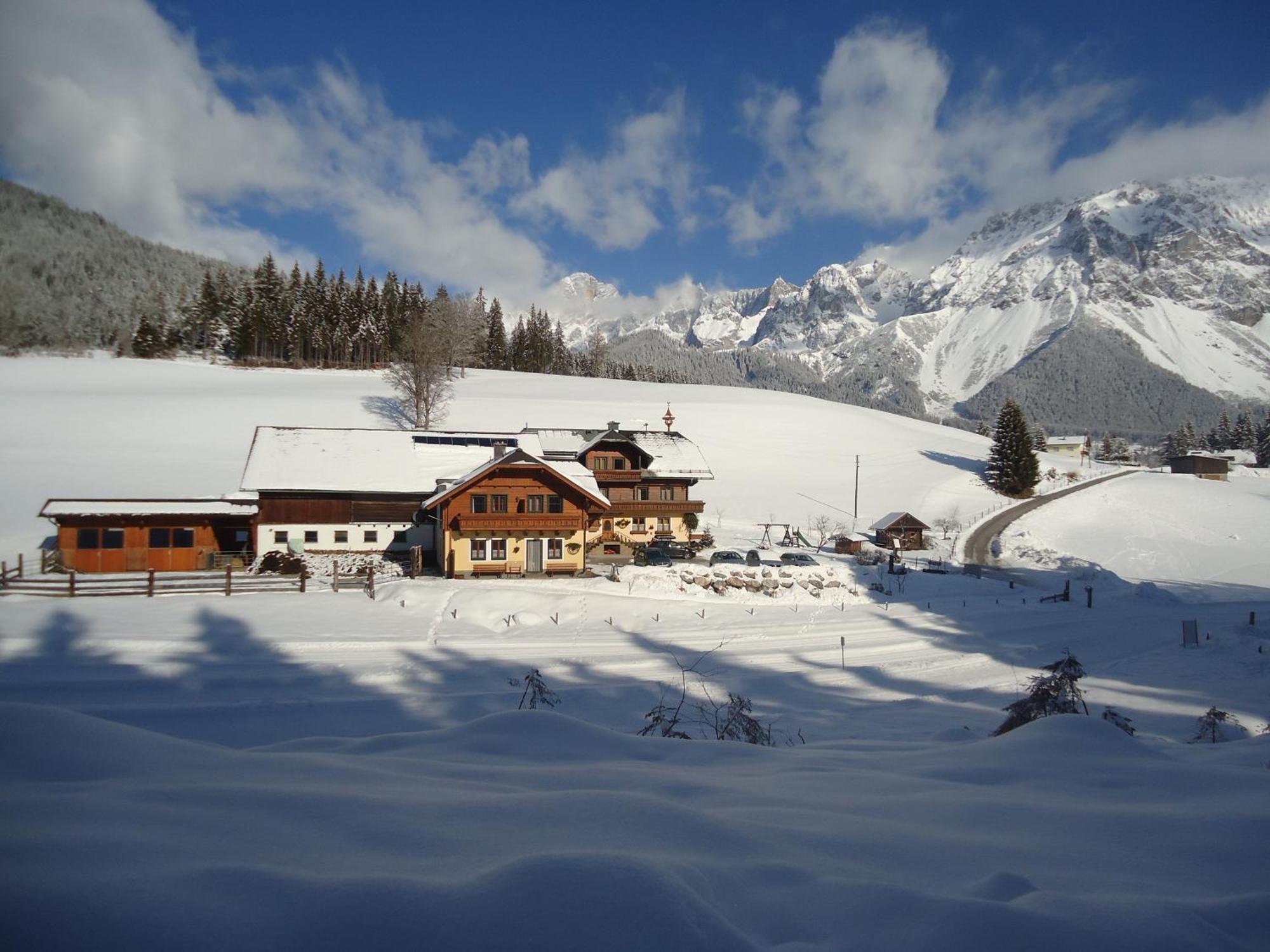 Pension-Greimelbacherhof Ramsau am Dachstein Luaran gambar
