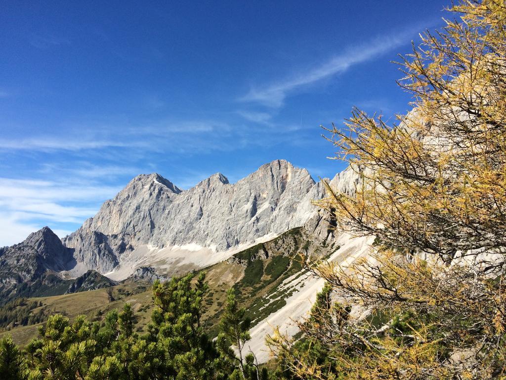 Pension-Greimelbacherhof Ramsau am Dachstein Luaran gambar