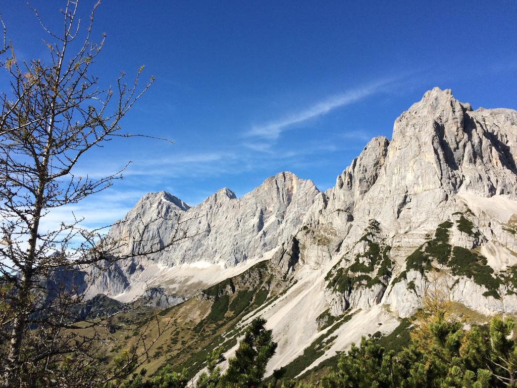 Pension-Greimelbacherhof Ramsau am Dachstein Luaran gambar