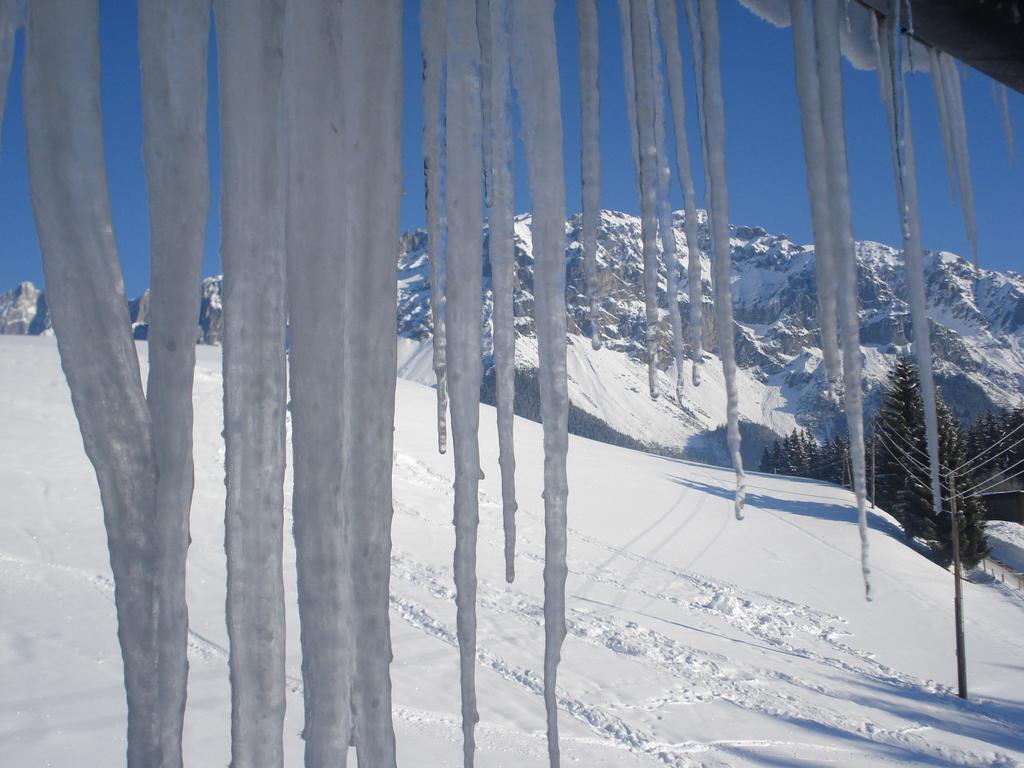 Pension-Greimelbacherhof Ramsau am Dachstein Luaran gambar