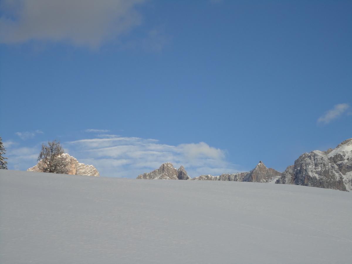 Pension-Greimelbacherhof Ramsau am Dachstein Luaran gambar