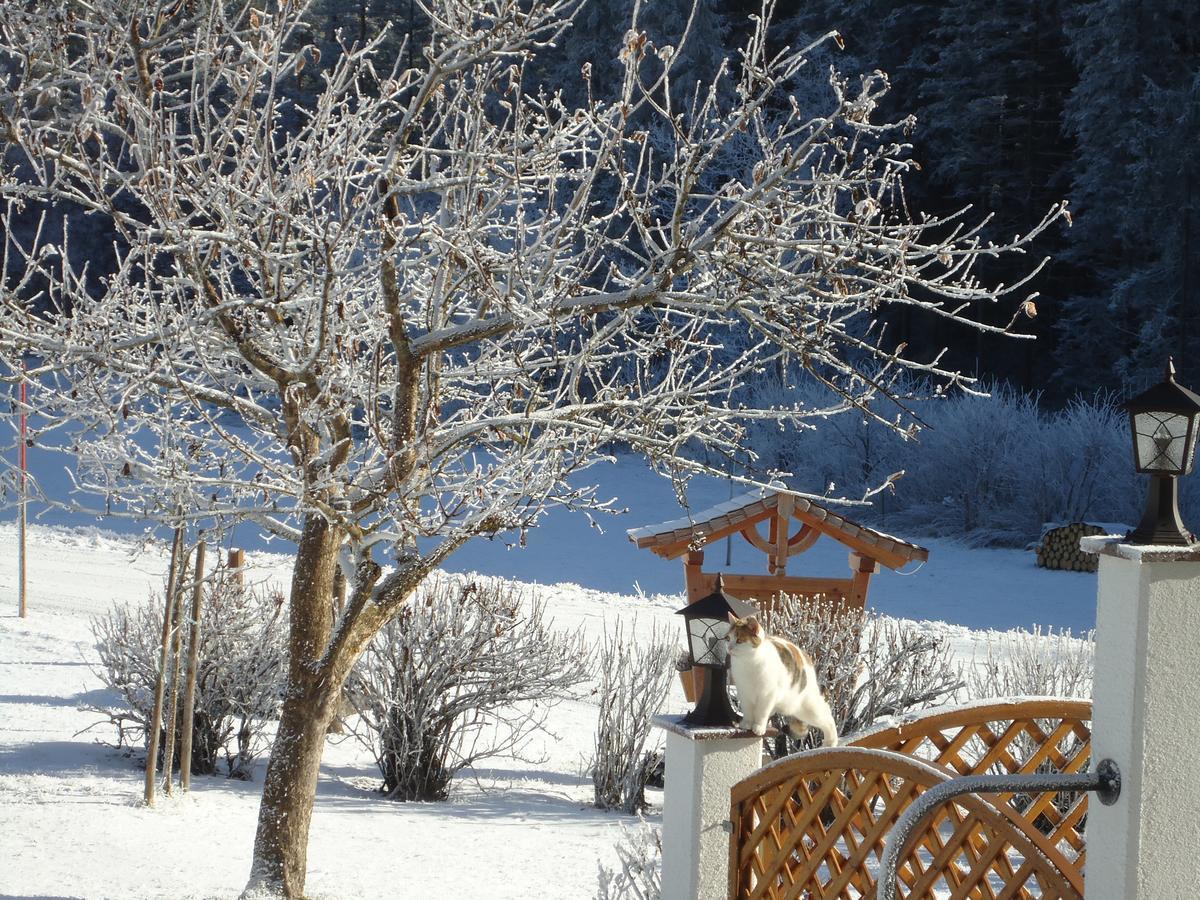 Pension-Greimelbacherhof Ramsau am Dachstein Luaran gambar