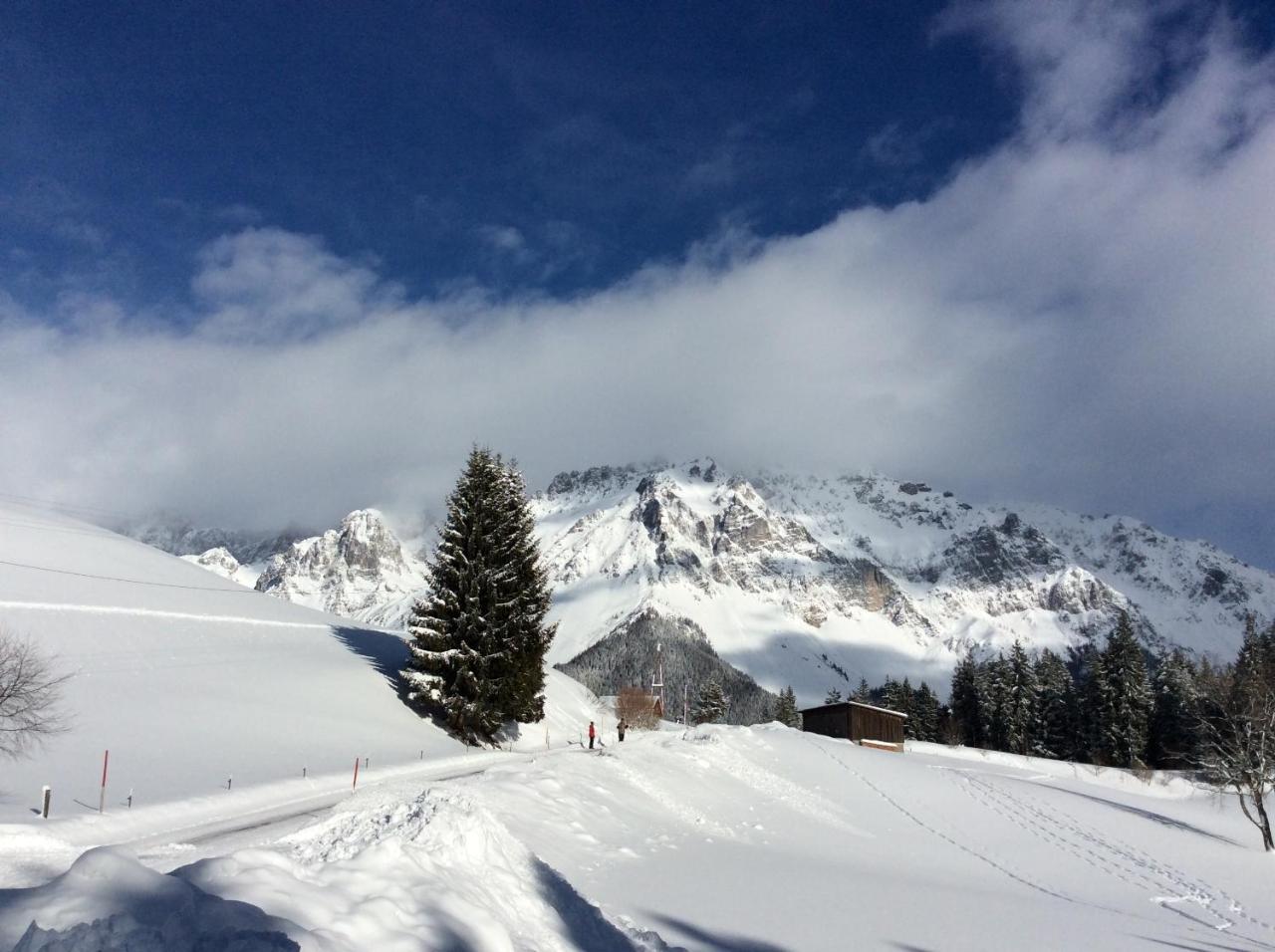 Pension-Greimelbacherhof Ramsau am Dachstein Luaran gambar
