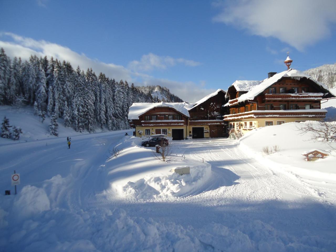 Pension-Greimelbacherhof Ramsau am Dachstein Luaran gambar