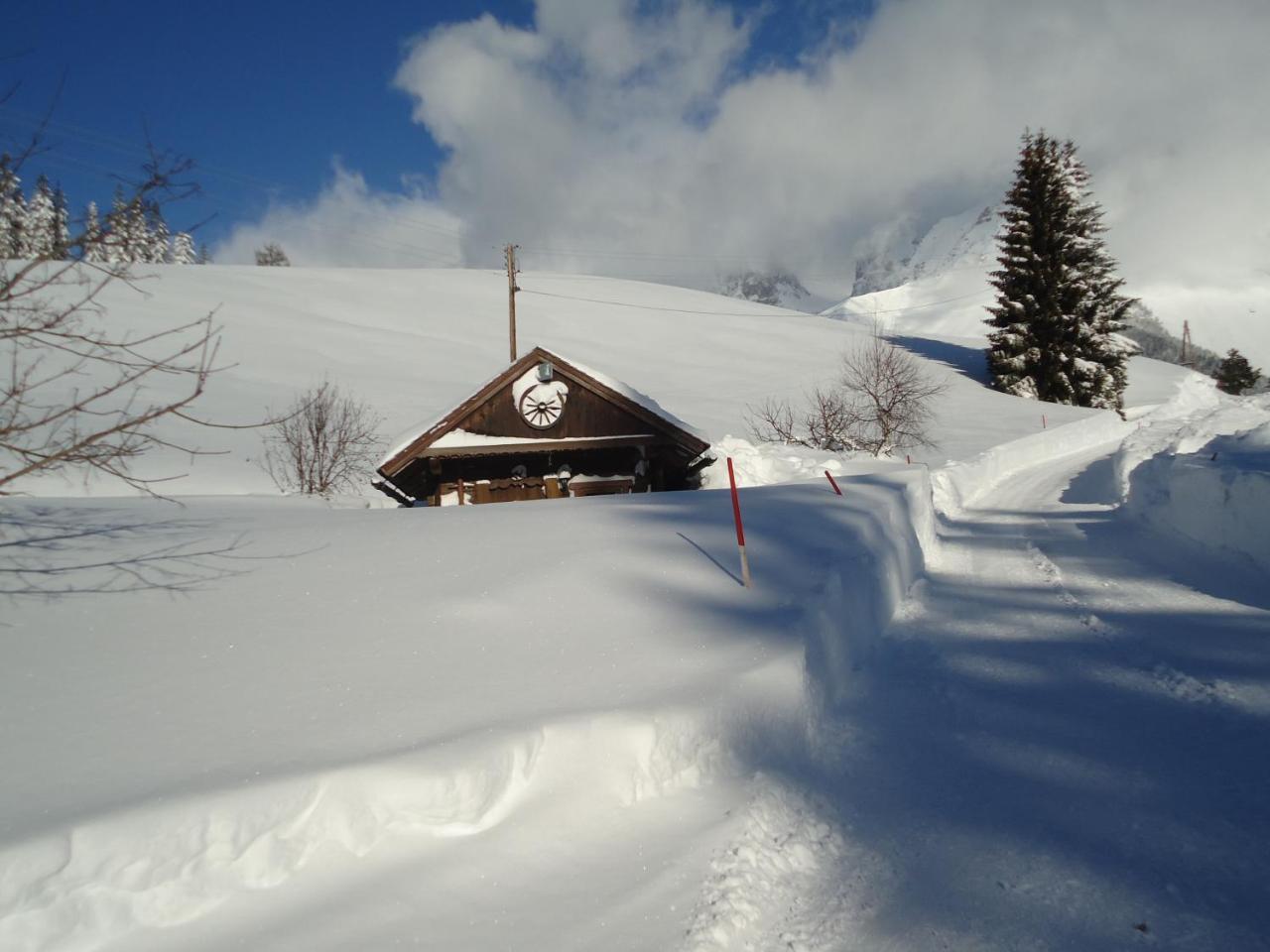 Pension-Greimelbacherhof Ramsau am Dachstein Luaran gambar