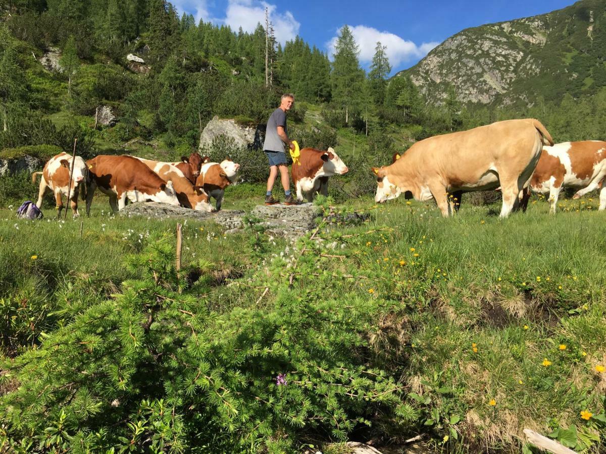 Pension-Greimelbacherhof Ramsau am Dachstein Luaran gambar